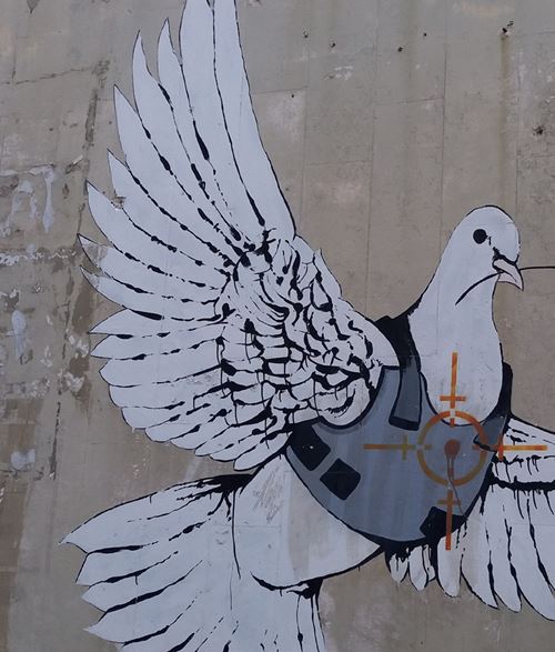 Friedenstaube mit kugelsicherer Schussweste und Fadenkreuz eines Zielfernrohr